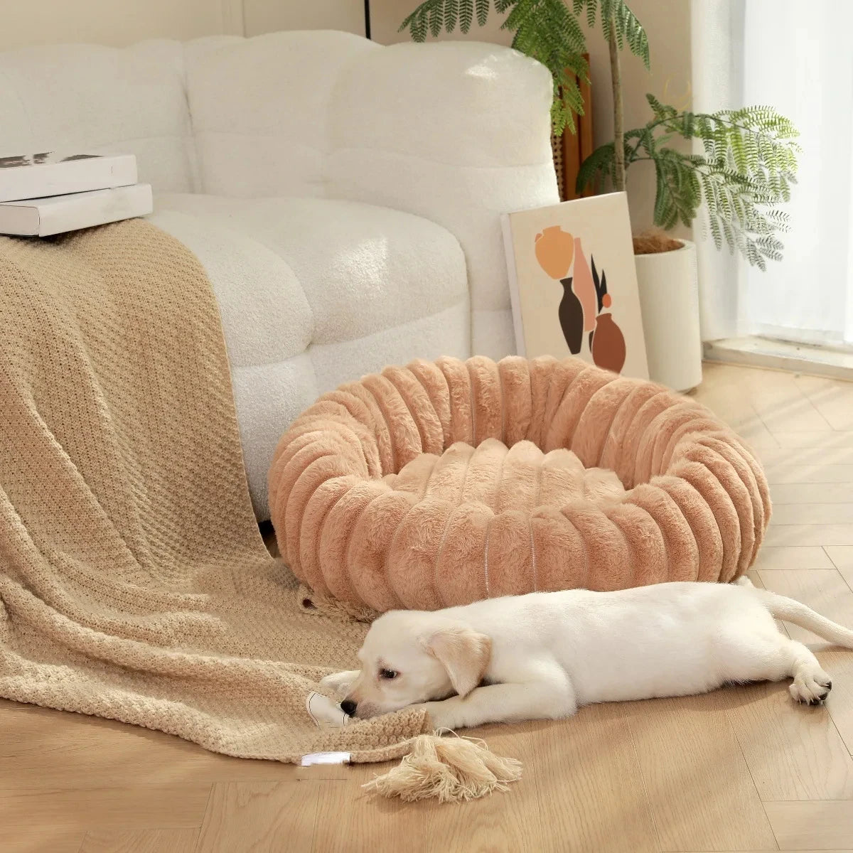 lit douillet pour chien orange en M, L, XL