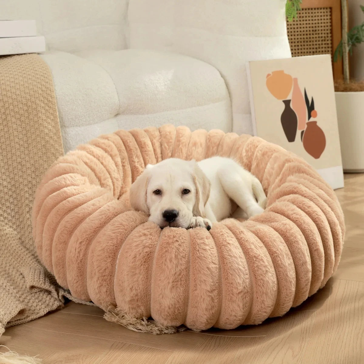 lit douillet pour chien orange en M, L, XL