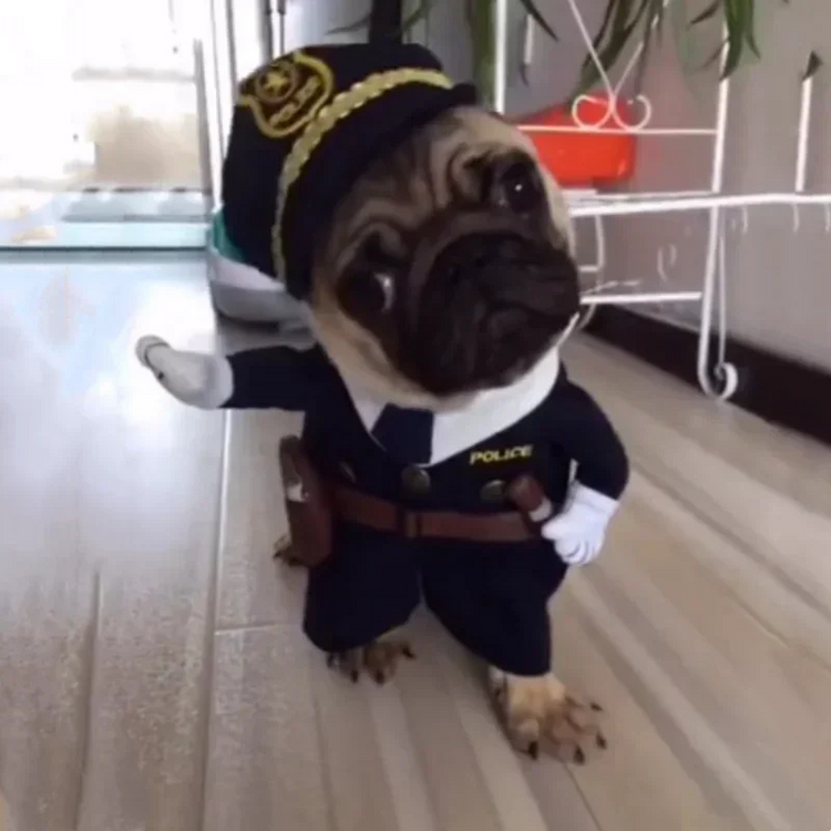 Costume d'Halloween policier pour Chien et Chat