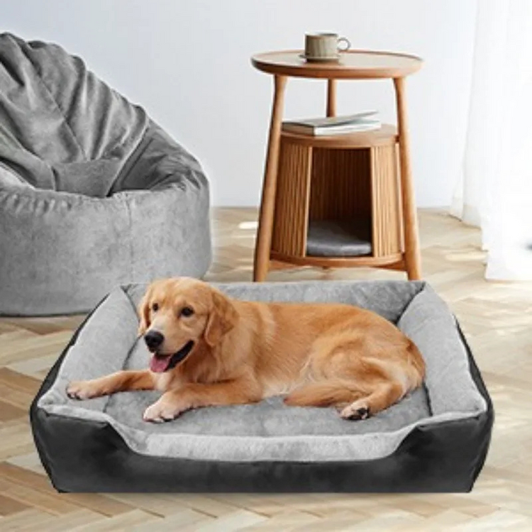 Lit Canapé Lavable pour Chien – Confort, hygiène et style pour votre compagnon