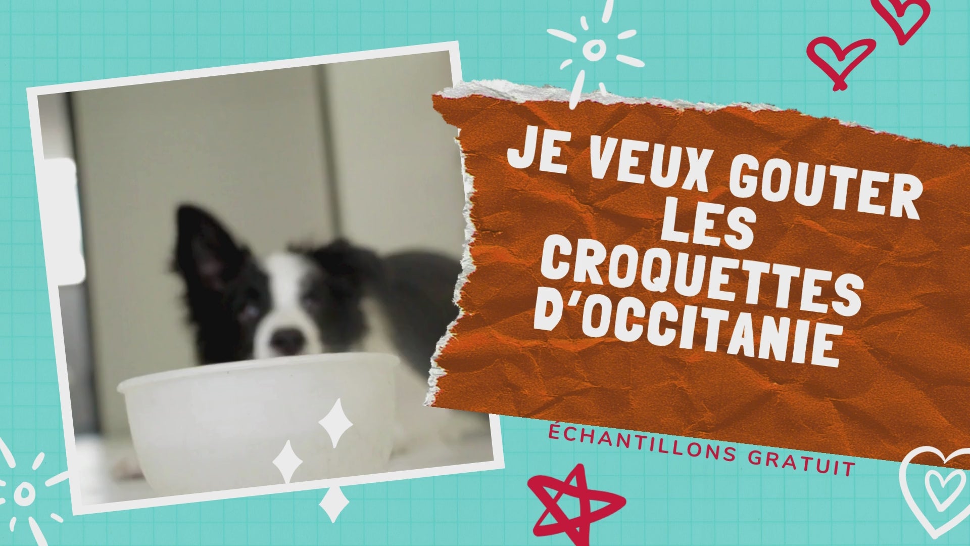 Load video: Our grain-free dog and cat food is approved. They&#39;re tested with our free samples, so you can be sure your pets won&#39;t go wrong.